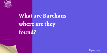 What are barchans where are they found