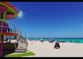 Miami quotes and captions