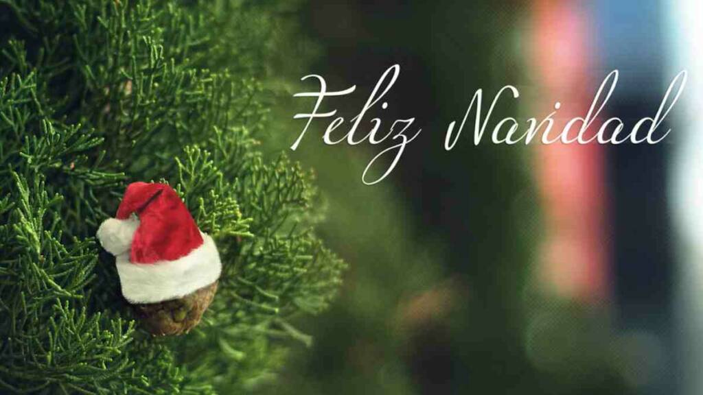 Feliz Navidad quotes