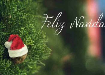 Feliz Navidad quotes