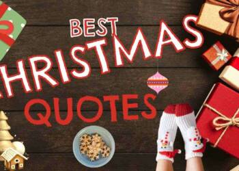 Quotes about Christmas lights