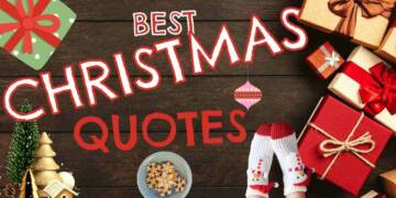 Quotes about Christmas lights