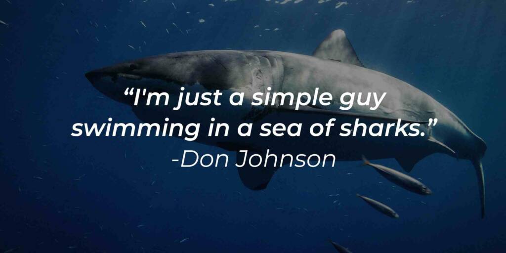 Quotes about sharks