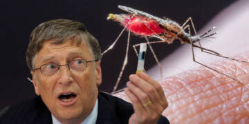 One Year after Bill Gates invested in an Anti-Malaria Firm, Malaria quietly makes its comeback in the US