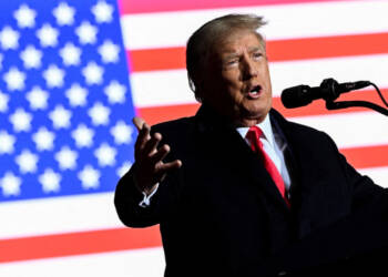 The Role of Digital Campaigning in the 2024 US Presidential Election