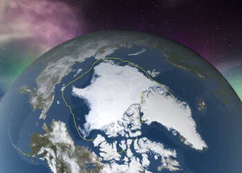 Why is the Antarctic so crucial?