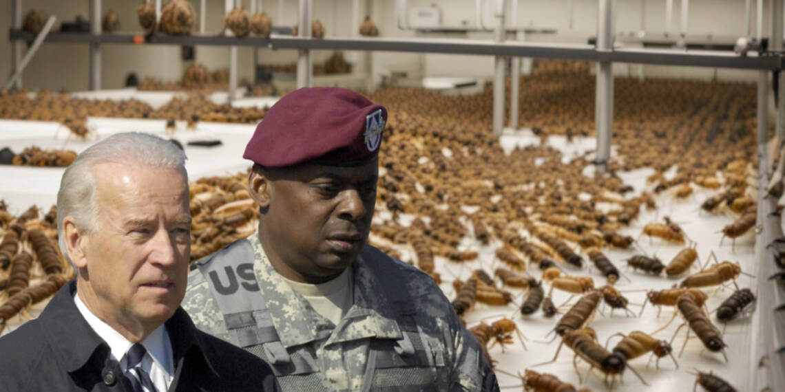 DARPA’s Multimillion Dollar Project That Can Starve the Whole World