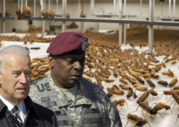 DARPA’s Multimillion Dollar Project That Can Starve the Whole World