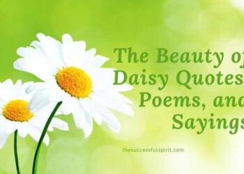 Daisy Quotes