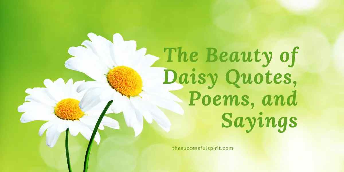 daisy flower quotes