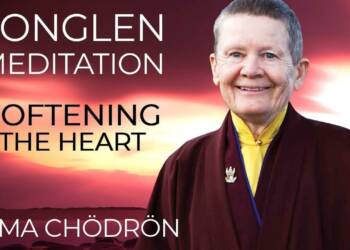- Pema Chodron quotes