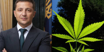 Drugs to cope up with PTSD, Zelensky land goes puff-puff