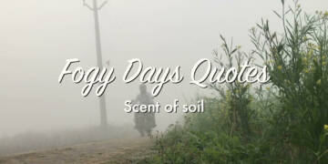 fog quotes