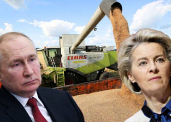 Putin has unleashed a ‘Grain-demic’ on the West