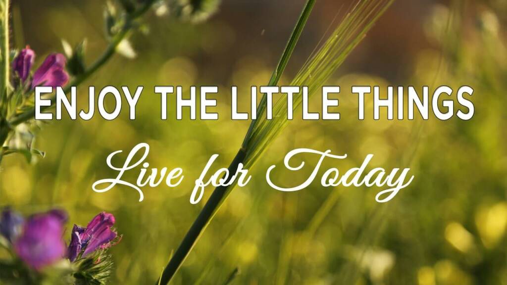 Enjoy The Little Things Quotes