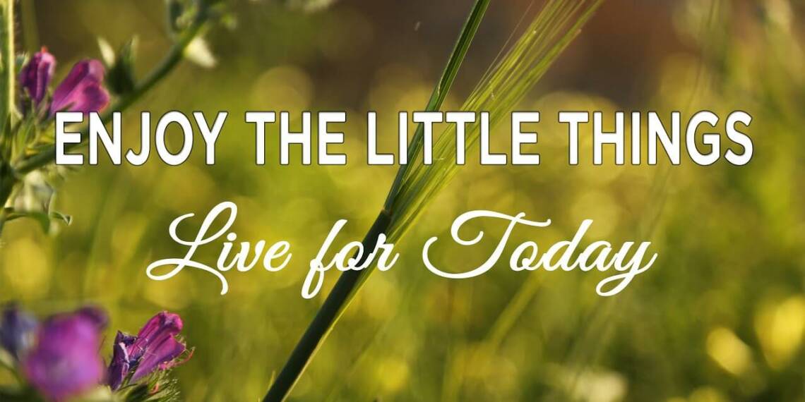 Enjoy The Little Things Quotes