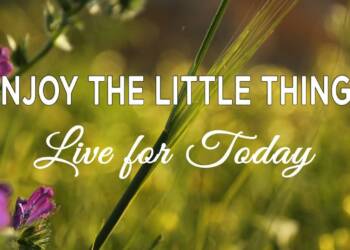 Enjoy The Little Things Quotes
