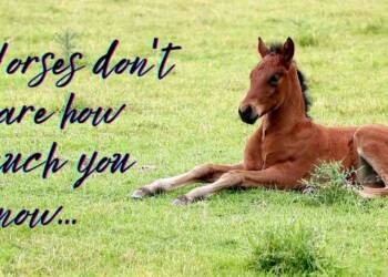 Inspirational Horse Quotes