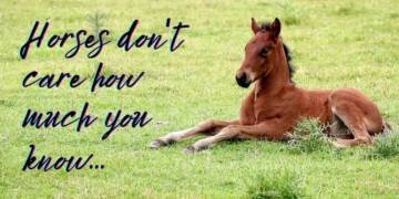 Inspirational Horse Quotes