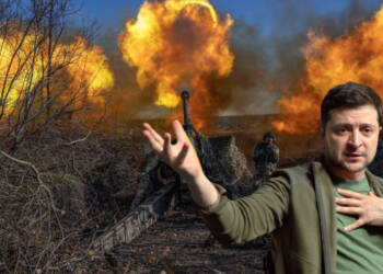 Zelensky is setting Ukrainian Forests Ablaze and West is understandably silent