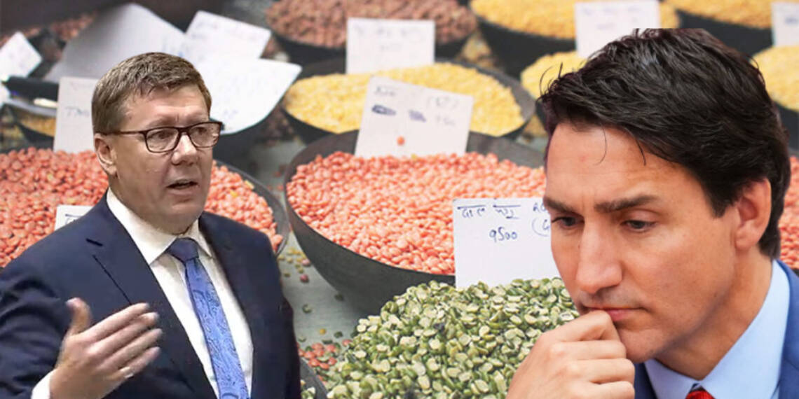 Trudeau is deliberately killing the prosperity of Prairies