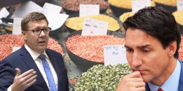 Trudeau is deliberately killing the prosperity of Prairies