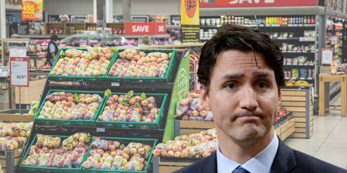 Canadian Hunger Crisis is Just ‘One More Tax’ Away from Disaster