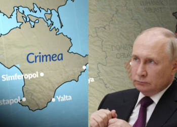 Zelensky was selling Crimean peninsula Lies to the World. But, just one video shocked him