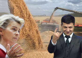 Ukraine Drags the EU to the WTO Just to Win a Losing Battle
