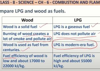 Compare LPG and Wood as Fuels