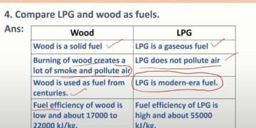 Compare LPG and Wood as Fuels