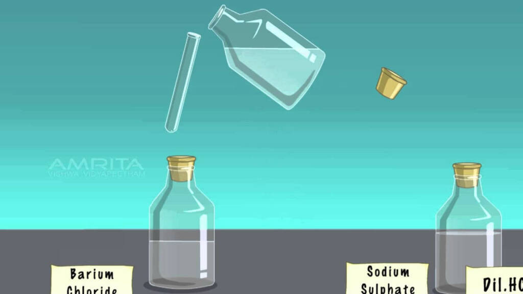 Difference between Displacement and Double Displacement