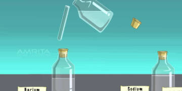 Difference between Displacement and Double Displacement
