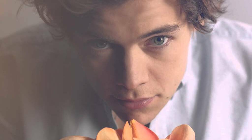 Harry Styles Quotes