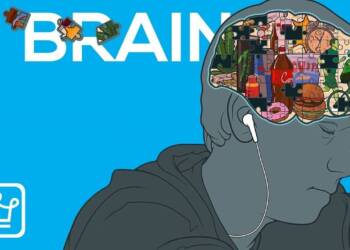 9 Tips on How to Train Your Brain