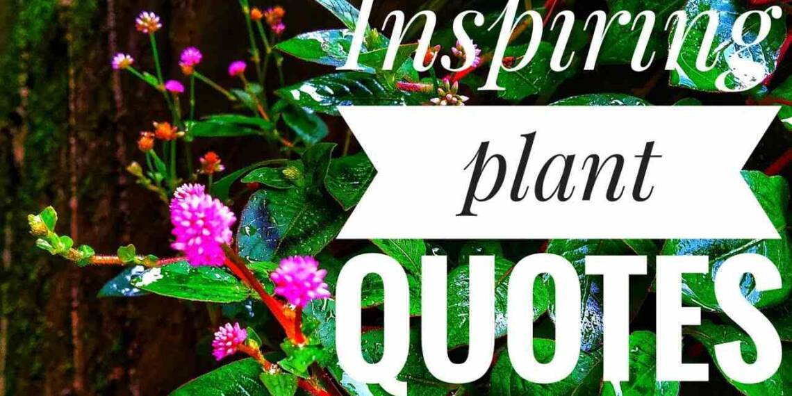 Plant Quotes