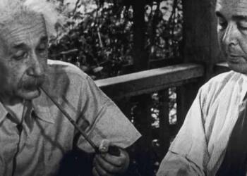 Why Did Einstein Write a Letter to Franklin Roosevelt