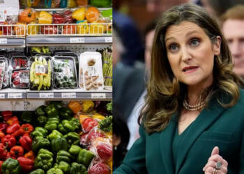 Government’s Price Tag on Canadian Grocery Shopping