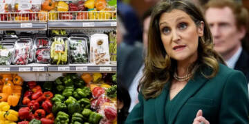 Government’s Price Tag on Canadian Grocery Shopping