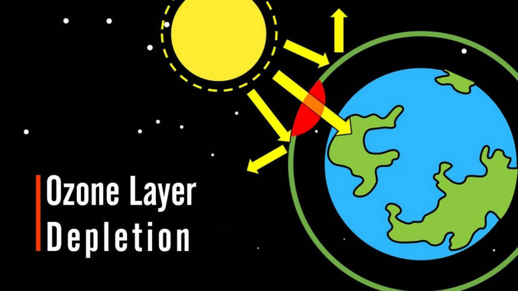 What Is Ozone and How Does It Affect Any Ecosystem