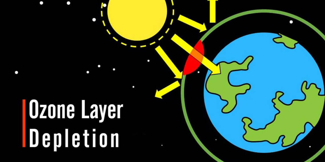 What Is Ozone and How Does It Affect Any Ecosystem