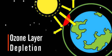 What Is Ozone and How Does It Affect Any Ecosystem