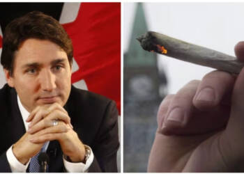 460,000 Albertans Are Set to Renege Trudeau’s Drug Legalization Plot