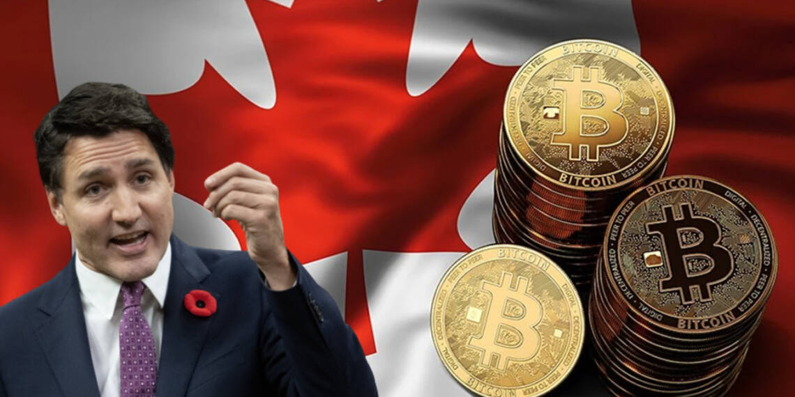 This is why Businesses are going belly-up in Canada