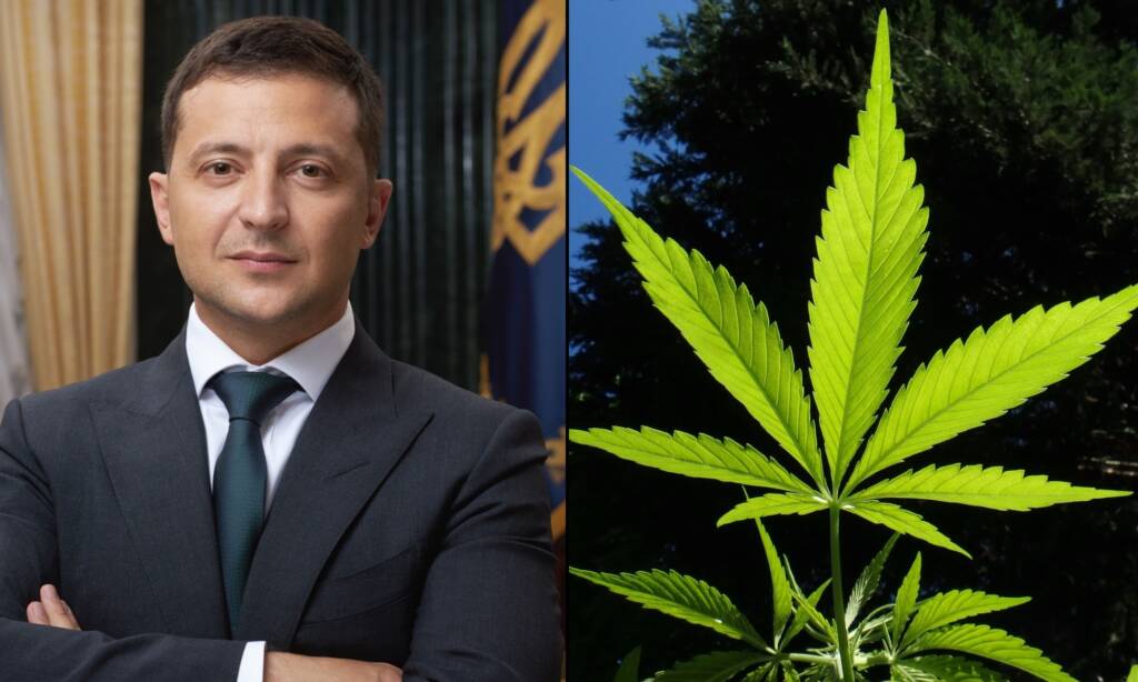 Zelensky's Cannabis Law