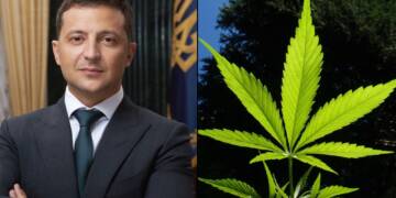 Zelensky's Cannabis Law