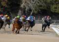 What Makes the Kentucky Derby So Special?