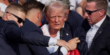 They, Who Motivated Trump’s Assassin