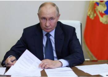 Putin’s Declaration: Russia Halts Attacks in Ukraine During Modi’s Visit