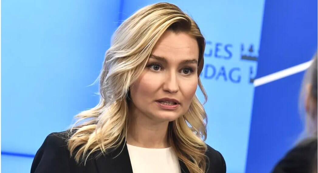 Swedish Deputy Prime Minister Sparks Debate with Comments on Muslim Integration and Swedish Values
